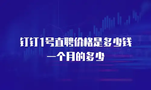 钉钉1号直聘价格是多少钱一个月的多少