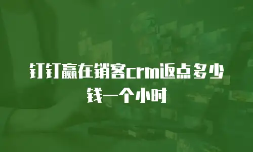 钉钉赢在销客crm返点多少钱一个小时