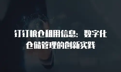 钉钉粮仓租用信息：数字化仓储管理的创新实践