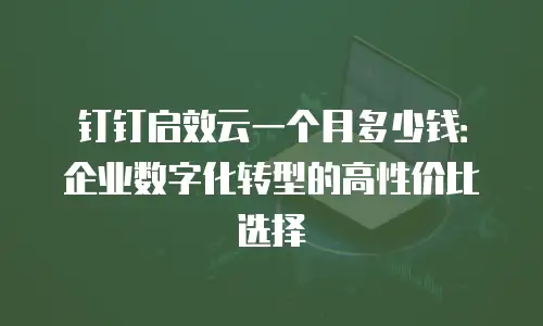 钉钉启效云一个月多少钱：企业数字化转型的高性价比选择