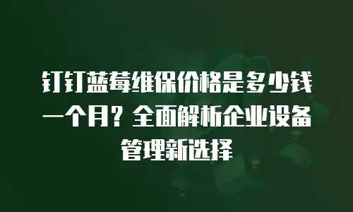 钉钉蓝莓维保价格是多少钱一个月？全面解析企业设备管理新选择