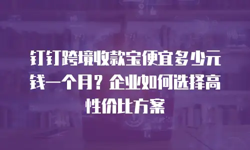 钉钉跨境收款宝便宜多少元钱一个月？企业如何选择高性价比方案