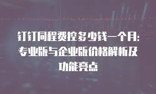 钉钉同程费控多少钱一个月：专业版与企业版价格解析及功能亮点