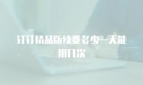 钉钉精品版续费多少一天能用几次