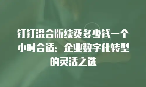 钉钉混合版续费多少钱一个小时合适：企业数字化转型的灵活之选