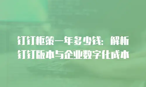 钉钉枢策一年多少钱：解析钉钉版本与企业数字化成本