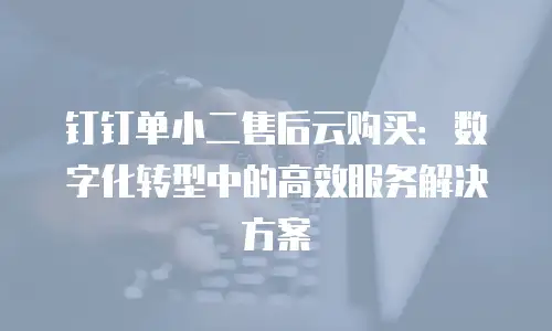 钉钉单小二售后云购买：数字化转型中的高效服务解决方案