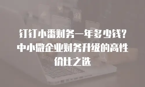 钉钉小番财务一年多少钱？中小微企业财务升级的高性价比之选