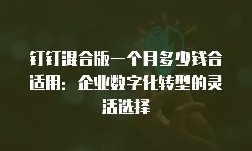 钉钉混合版一个月多少钱合适用：企业数字化转型的灵活选择