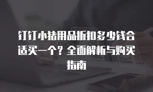 钉钉小猪用品折扣多少钱合适买一个？全面解析与购买指南