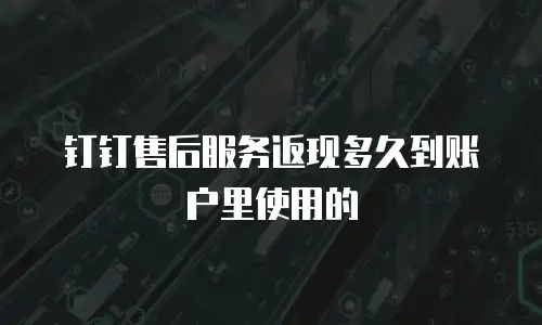 钉钉售后服务返现多久到账户里使用的