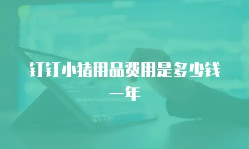 钉钉小猪用品费用是多少钱一年