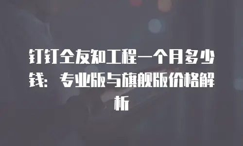 钉钉仝友知工程一个月多少钱：专业版与旗舰版价格解析