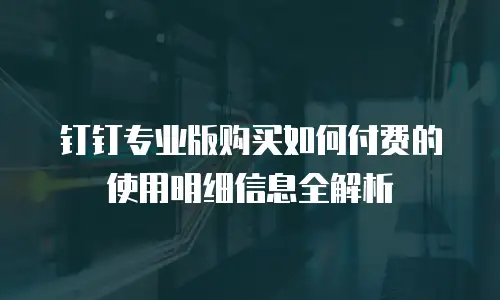 钉钉专业版购买如何付费的使用明细信息全解析