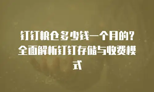 钉钉粮仓多少钱一个月的？全面解析钉钉存储与收费模式