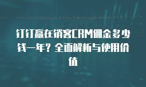 钉钉赢在销客CRM佣金多少钱一年？全面解析与使用价值