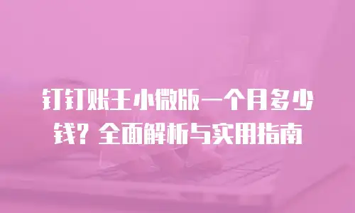 钉钉账王小微版一个月多少钱？全面解析与实用指南