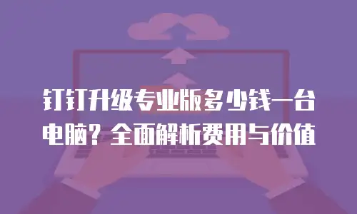 钉钉升级专业版多少钱一台电脑？全面解析费用与价值