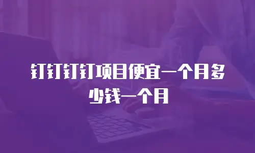钉钉钉钉项目便宜一个月多少钱一个月