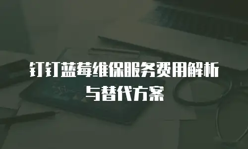 钉钉蓝莓维保服务费用解析与替代方案