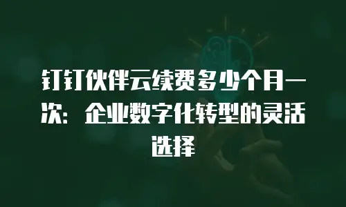 钉钉伙伴云续费多少个月一次：企业数字化转型的灵活选择