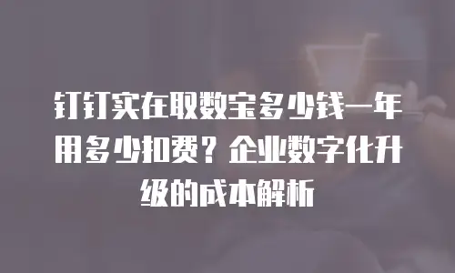 钉钉实在取数宝多少钱一年用多少扣费？企业数字化升级的成本解析