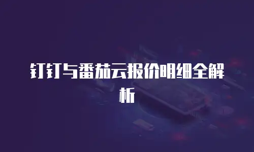 钉钉与番茄云报价明细全解析