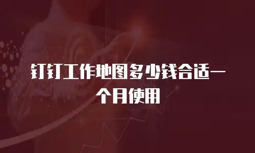 钉钉工作地图多少钱合适一个月使用