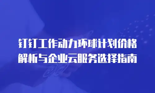 钉钉工作动力环球计划价格解析与企业云服务选择指南