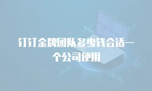 钉钉金牌团队多少钱合适一个公司使用