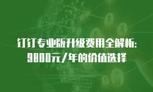 钉钉专业版升级费用全解析：9800元/年的价值选择