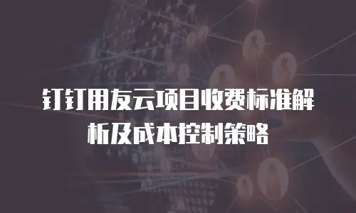 钉钉用友云项目收费标准解析及成本控制策略