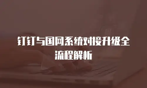 钉钉与国网系统对接升级全流程解析