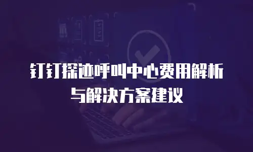钉钉探迹呼叫中心费用解析与解决方案建议