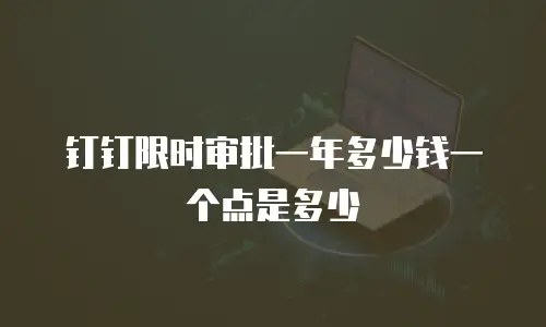 钉钉限时审批一年多少钱一个点是多少