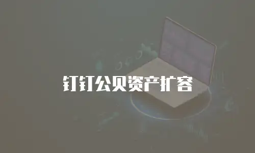 钉钉公贝资产扩容