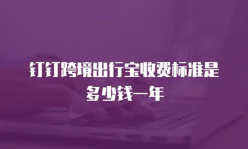 钉钉跨境出行宝收费标准是多少钱一年