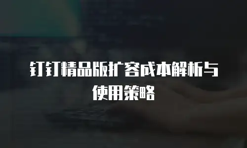 钉钉精品版扩容成本解析与使用策略