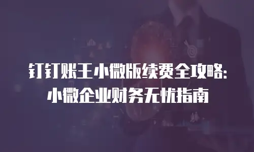 钉钉账王小微版续费全攻略：小微企业财务无忧指南