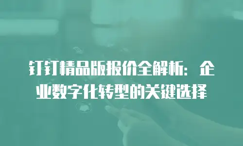 钉钉精品版报价全解析：企业数字化转型的关键选择