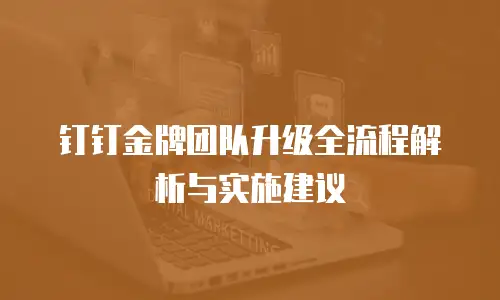 钉钉金牌团队升级全流程解析与实施建议