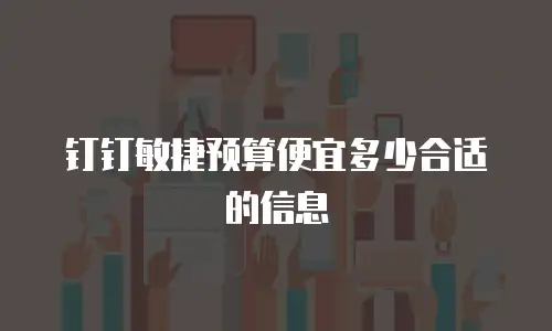 钉钉敏捷预算便宜多少合适的信息