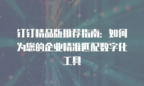 钉钉精品版推荐指南：如何为您的企业精准匹配数字化工具