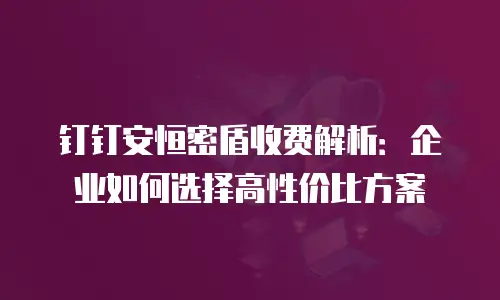 钉钉安恒密盾收费解析：企业如何选择高性价比方案