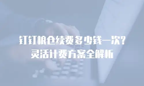 钉钉粮仓续费多少钱一次？灵活计费方案全解析