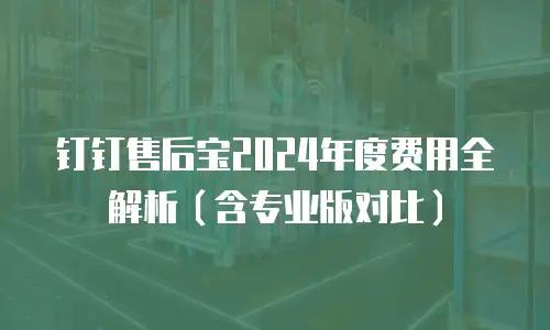钉钉售后宝2024年度费用全解析（含专业版对比）