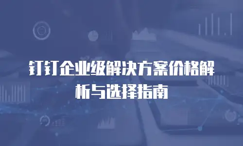 钉钉企业级解决方案价格解析与选择指南