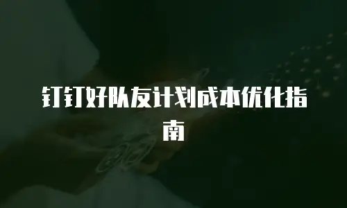 钉钉好队友计划成本优化指南