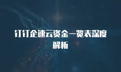 钉钉企速云资金一览表深度解析