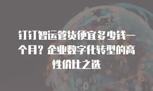 钉钉智运管货便宜多少钱一个月？企业数字化转型的高性价比之选
